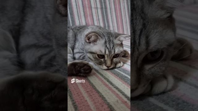 Счастливый Федя ?