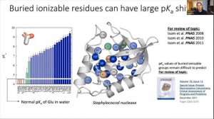 IDG e-Symposium Series - R03 Outcomes talks by Dr. T. Green and Dr. F. Laezza, and Dr. D. Isom