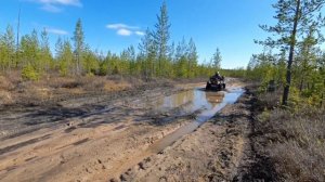 Катаемся с женой на квадроцикле CF MOTO X8