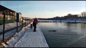 Клев на первом секторе!!!! Клевое место. д Савельево.