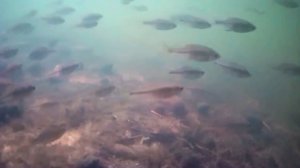 Большая Авантюра. второй котлован .mp4