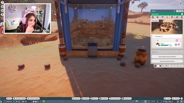 my kangaroos are crazy in planet zoo Streamed 82620