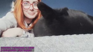 Зверь, который меня скоро съест ? Волкособ Гулдан.