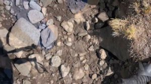 Восхождение на Килиманджаро по маршруту Марангу