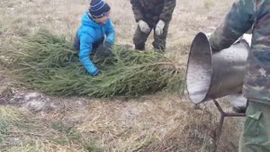 НОВОГОДНИЕ ЁЛКИ, ЕЛЬ НОВОГОДНЯЯ, ЗАГОТОВКА НОВОГОДНИХ ДЕРЕВЬЕВ, КУПИТЬ ЁЛКУ ОПТОМ, ЁЛОЧНЫЙ БИЗНЕС