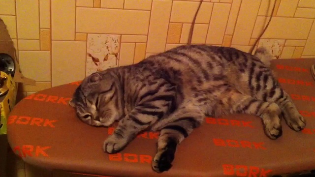 We can work it out смотреть онлайн