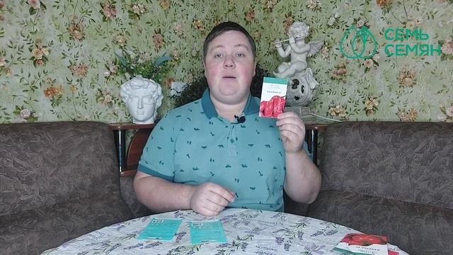 ЛУЧШИЕ ТОМАТЫ ДЛЯ ВЫРАЩИВАНИЯ В ТЕПЛИЦЕ! УРОЖАЙНОСТЬ ВАС УДИВИТ!