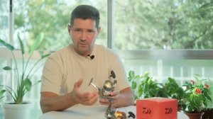 Как выбрать безынерционную катушку?