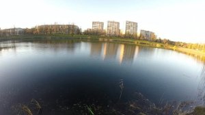 Рыбалка на спиннинг в центре города Санкт-Петербург!