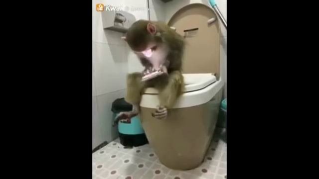 Веселые Разговоры с коллекторами