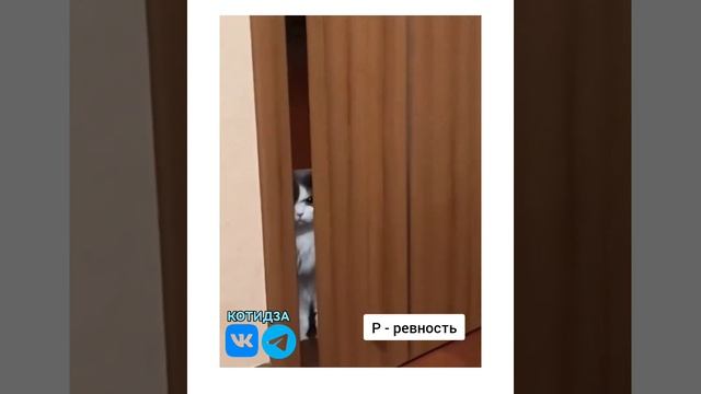 ревность