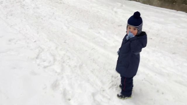 Решили накормить птиц зимой. Стоит ли это делать? Что происходит когда папа пылесосит. смотреть онлайн