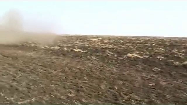 Лущильник прицепной на пружинной стойке ЛДП-6 производства ЧФ "Хартехпром-97" смотреть онлайн