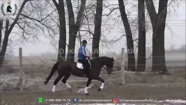 Е123 смотреть онлайн