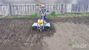 Весенняя похота мотоблоком.