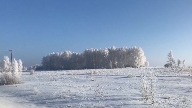Зимняя сказка.  Красота зимнего леса. Новосибирская область. Зима.