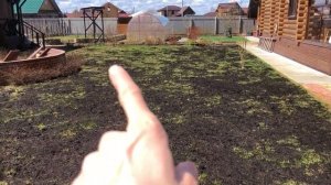 Психанула и засыпала ГАЗОН землей. Результат в видео