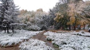 Первый снег 27.09.2022 в Омске