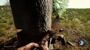 ВСЁ ОРУЖИЕ THE FOREST
