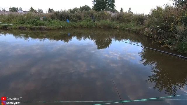 Рыбалка на своём пруду. Пруд на даче своими руками/Ловим  в своём пруду на участке рыбу карась, лин