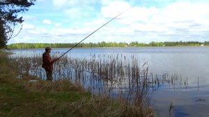 Отличная рыбалка на поплавок на озере по плотве