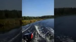 Лодка Колибри-КМ-260 + мотор TOHATSU  M5B DS