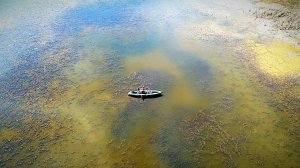 В ЭТОМ БОЛОТЕ МНОГО КАРАСЯ. Поплавок крупным планом. Рыбалка на карася с поплавочной удочкой.