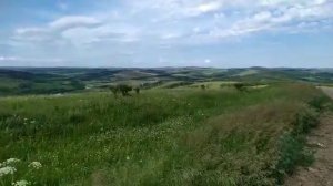 Локоть, Целинный район, Алтайский край