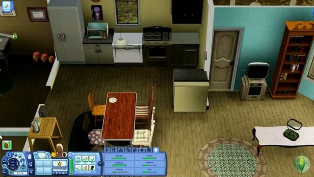 Sims3 - Runaway Teen Ep16 - Successful