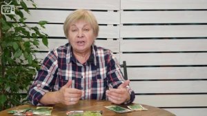 Что посадить в сентябре в теплице и огороде?