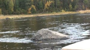 Рыбалка. Сплав по реке Ката