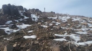 охота на кеклика 6 февраля Спартак король YouTube