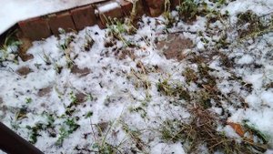 карты памяти SD и microSD класс записи видео. Как выбрать карту памяти для видеокамеры?