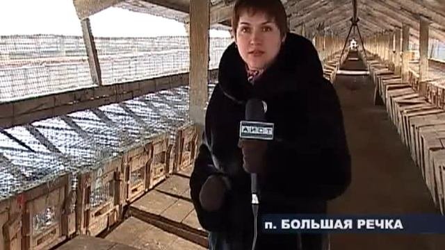 Зверохозяйство в Иркутской области