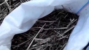 Компост в мешке