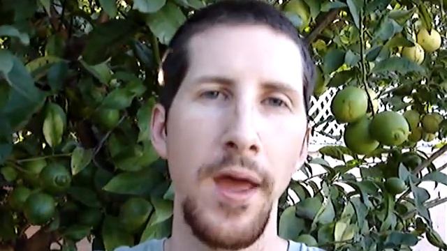 Day 39 - Sonnet #100: personification, time, muse, excuses, blame, immortality смотреть онлайн