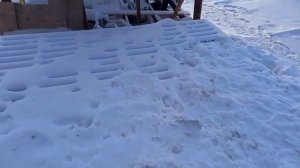 Дом и забор из обожженной доски