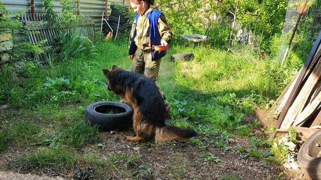 Хэппи, 10 месяцев. Фришейпинг. Получилось! Задание выполнено за 32 секунды! Тренируемся дальше!