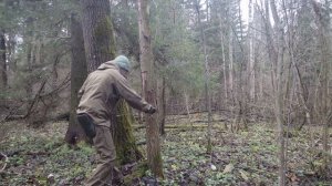 тест ручной струнной пилы