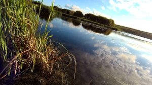 Ловля щуки в забродниках