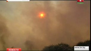Лесные пожары бушуют в Чили