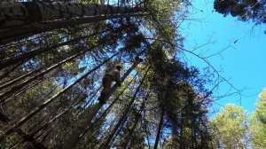 За чагой с Риткой в золотую осень!!!