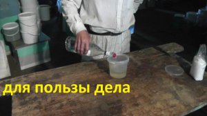 дать пчёлам водки, что будет