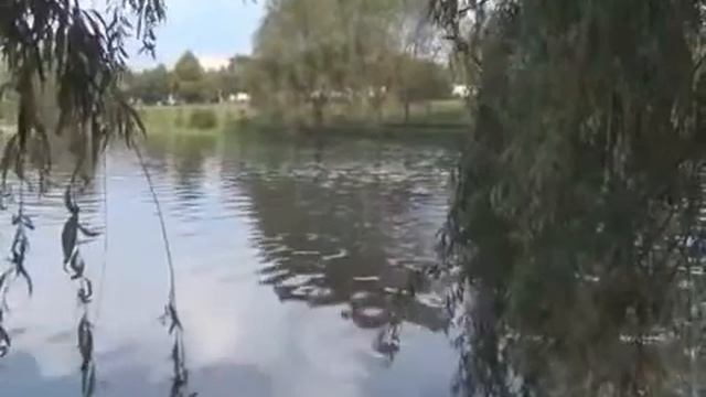 Воскрешение человека - методы 23 - 24 смотреть онлайн