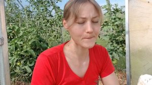 Во всем должна быть мера! Морошковое варенье.Июль.