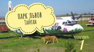 Парк Львов Тайган. Крым. Белогорск. август 2020
