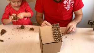 ДОМИК ИЗ ШИШЕК СВОИМИ РУКАМИ | DYI house made of cones for the Christmas.