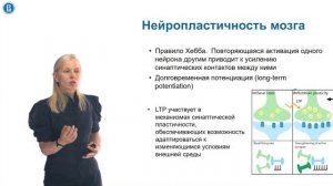 Шестакова Светлана_Основные положения нейроэкономики-Часть 2.mp4