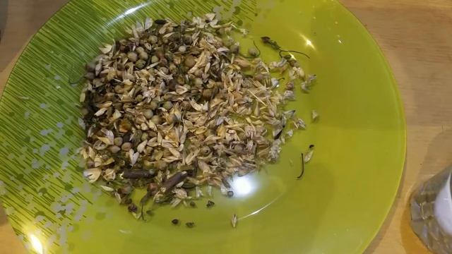 Готовим хлеб из проростков пшеницы и цельнозерновой муки. Часть 1.
