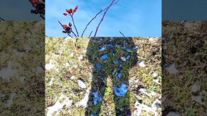 Адыгея, усадьба Тхач. отдых в горах, у друзей. Декабрь 2022